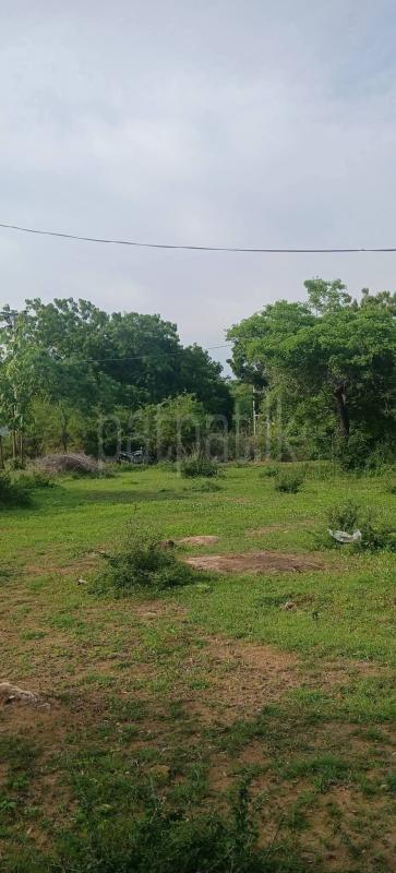 Residential Land for Sale in Kataragama