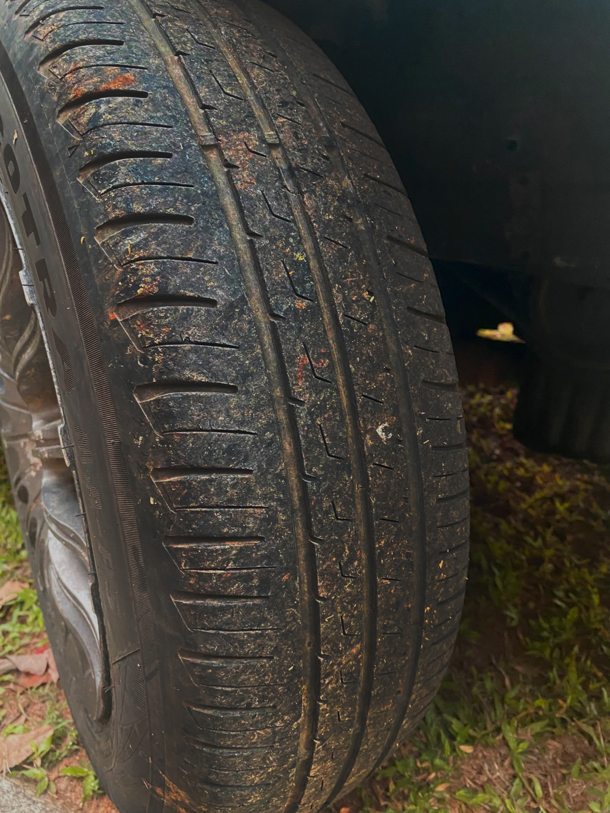 Nissan Pulsar 1997 - Used Car sale in Sri Lanka - patpat.lk