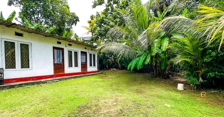 Residential Land for Sale in Nawala
