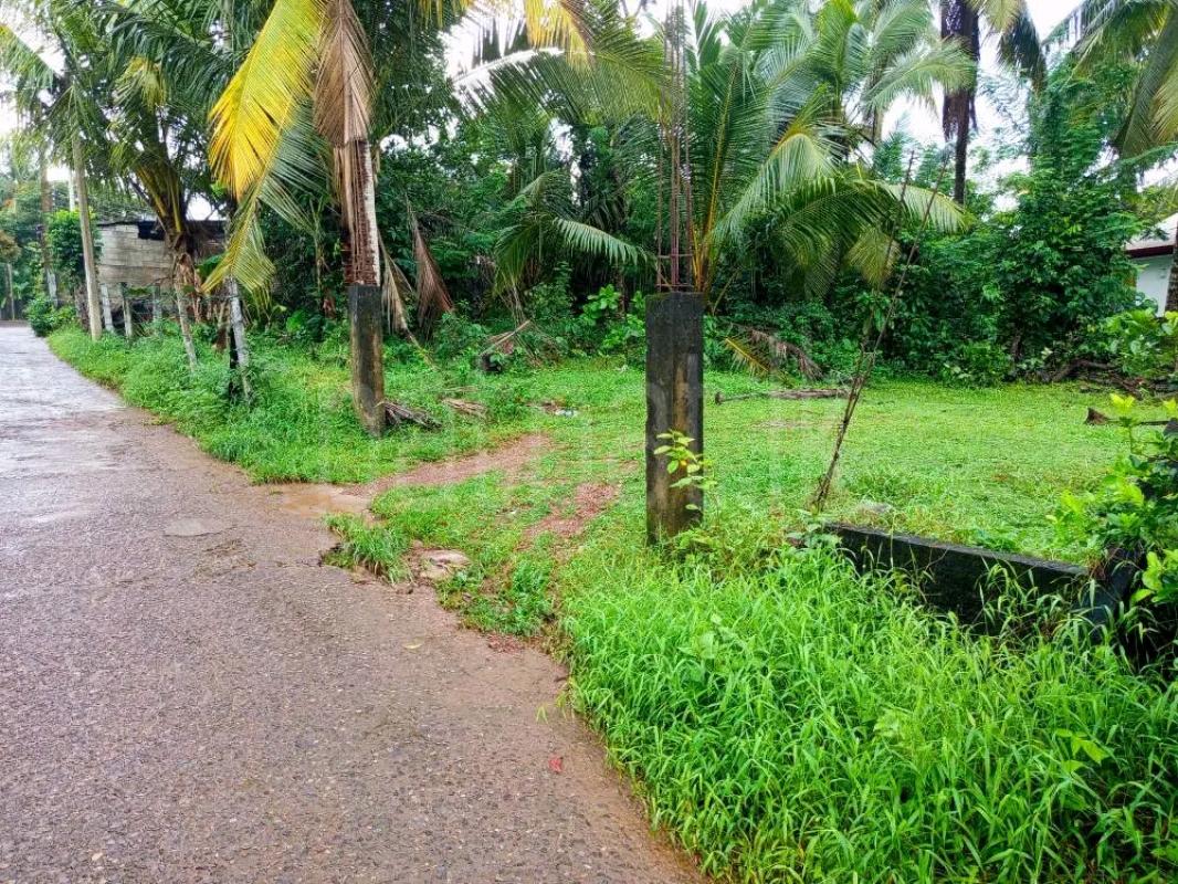 Agricultural Land for Sale in Maho