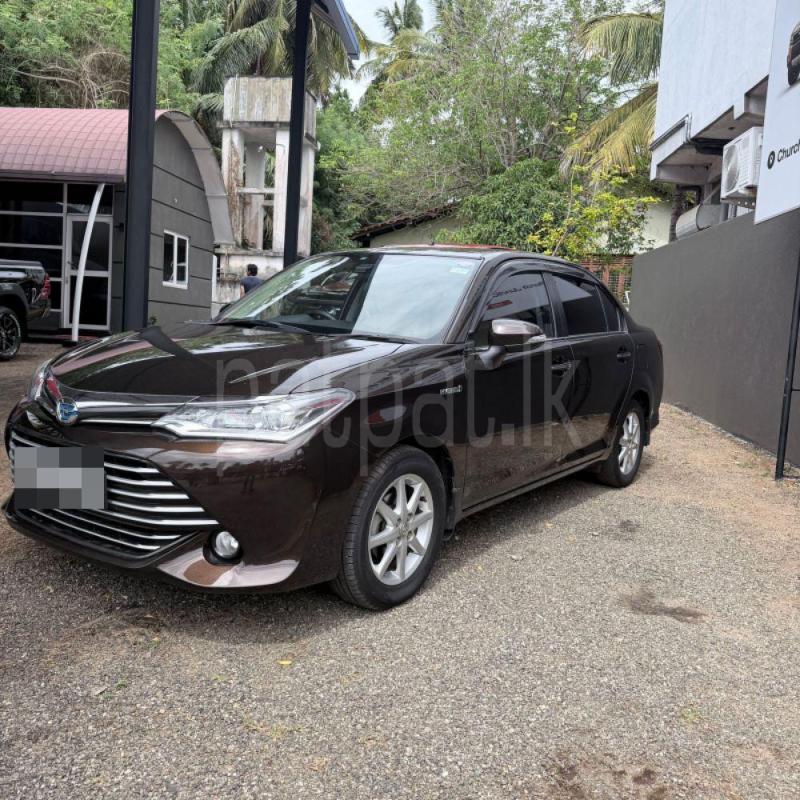 Advertisement image 2