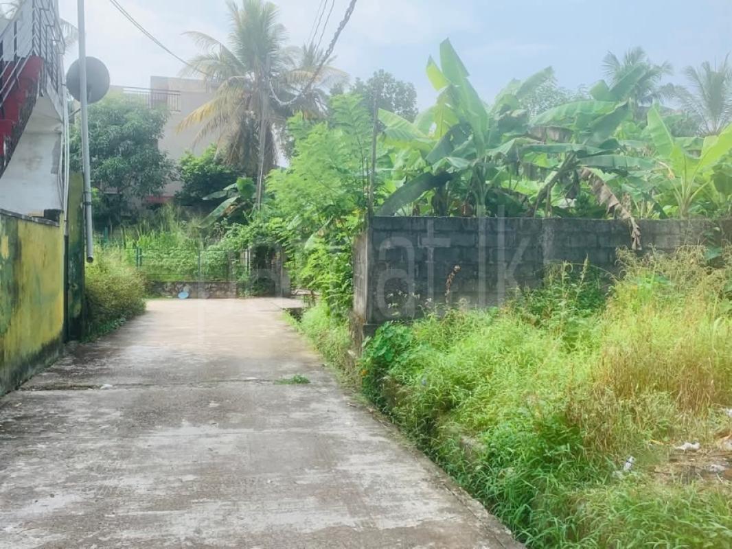 Advertisement image 4