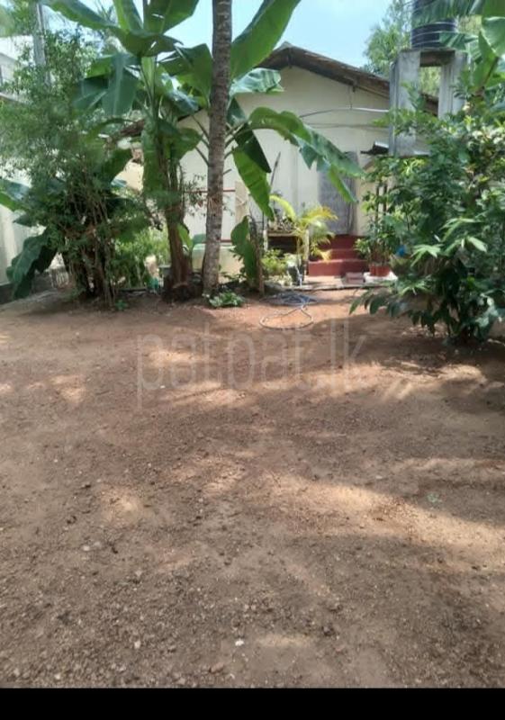 Residential Land for Sale in Wattala