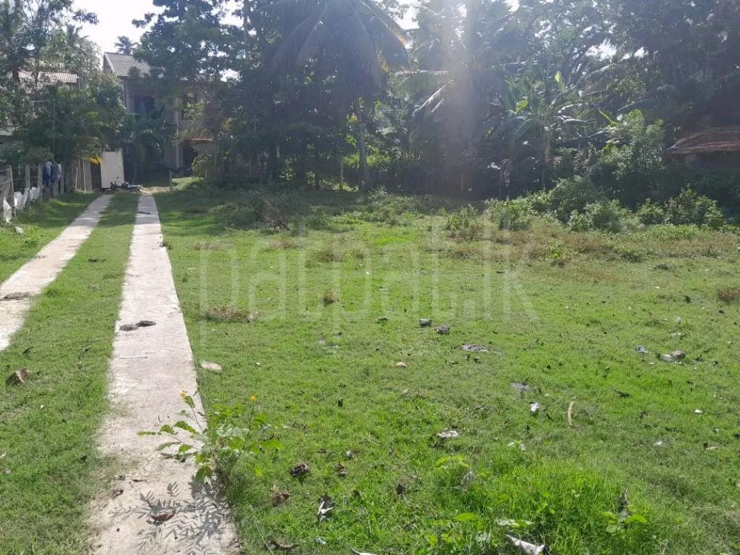 Agricultural Land for Sale in Maho