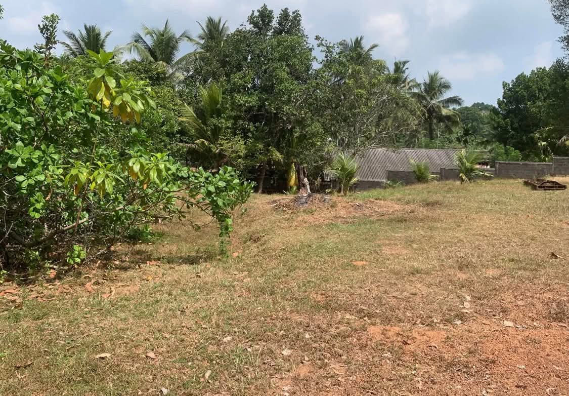 Residential Land for Sale in Homagama