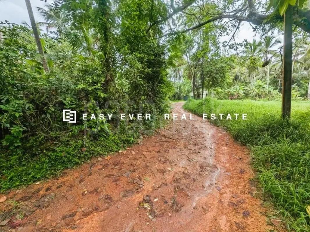 Commercial Land for Sale in Minuwangoda ads-image-1