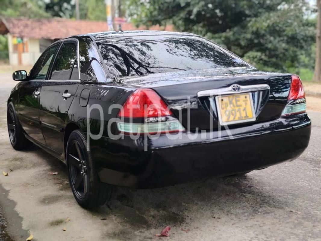 Advertisement image 6