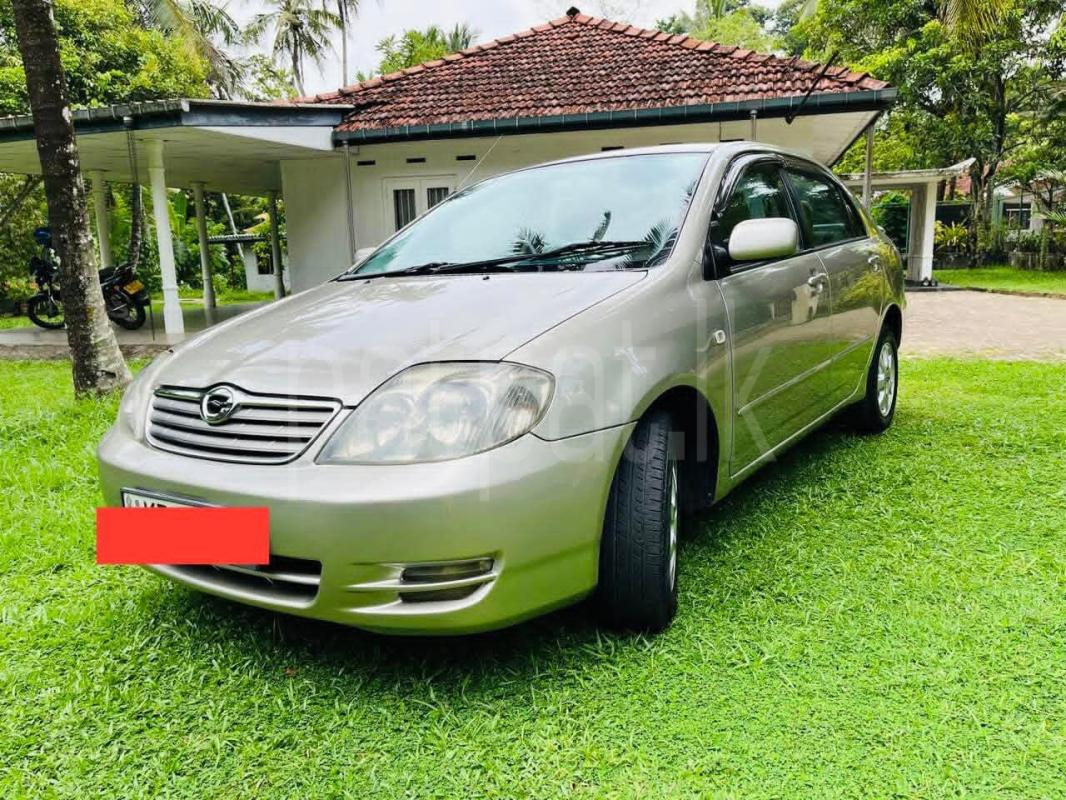 Advertisement image 6