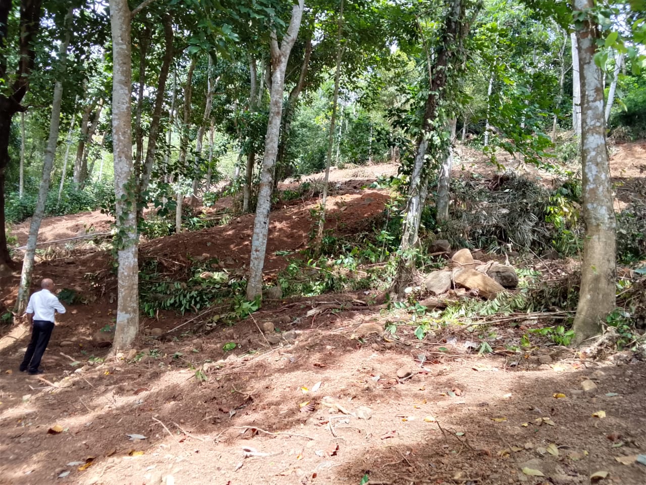 Residential Land for Sale in Mapalagama