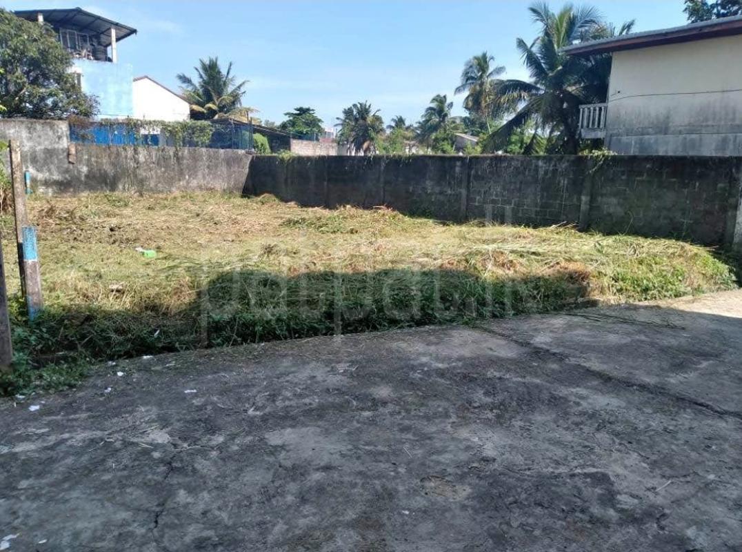 Residential Land for Sale in Avissawella ads-image-1