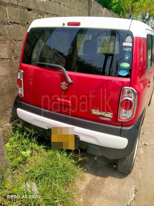 Advertisement image 3