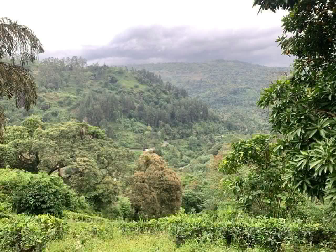 Agricultural Land for Sale in Dolosbage