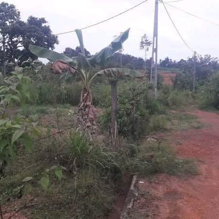 Residential Land for Sale in Kahathuduwa