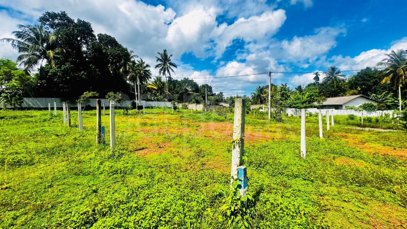Residential Land for Sale in Kadawatha
