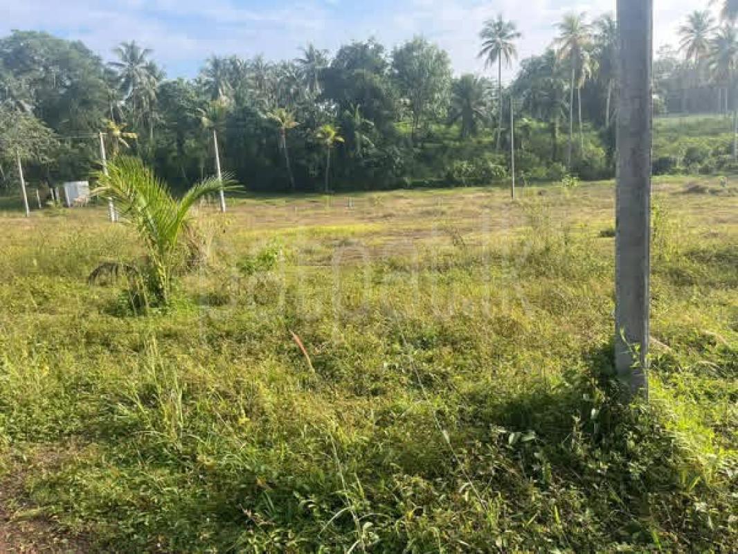 Residential Land for Sale in Gampaha ads-image-1