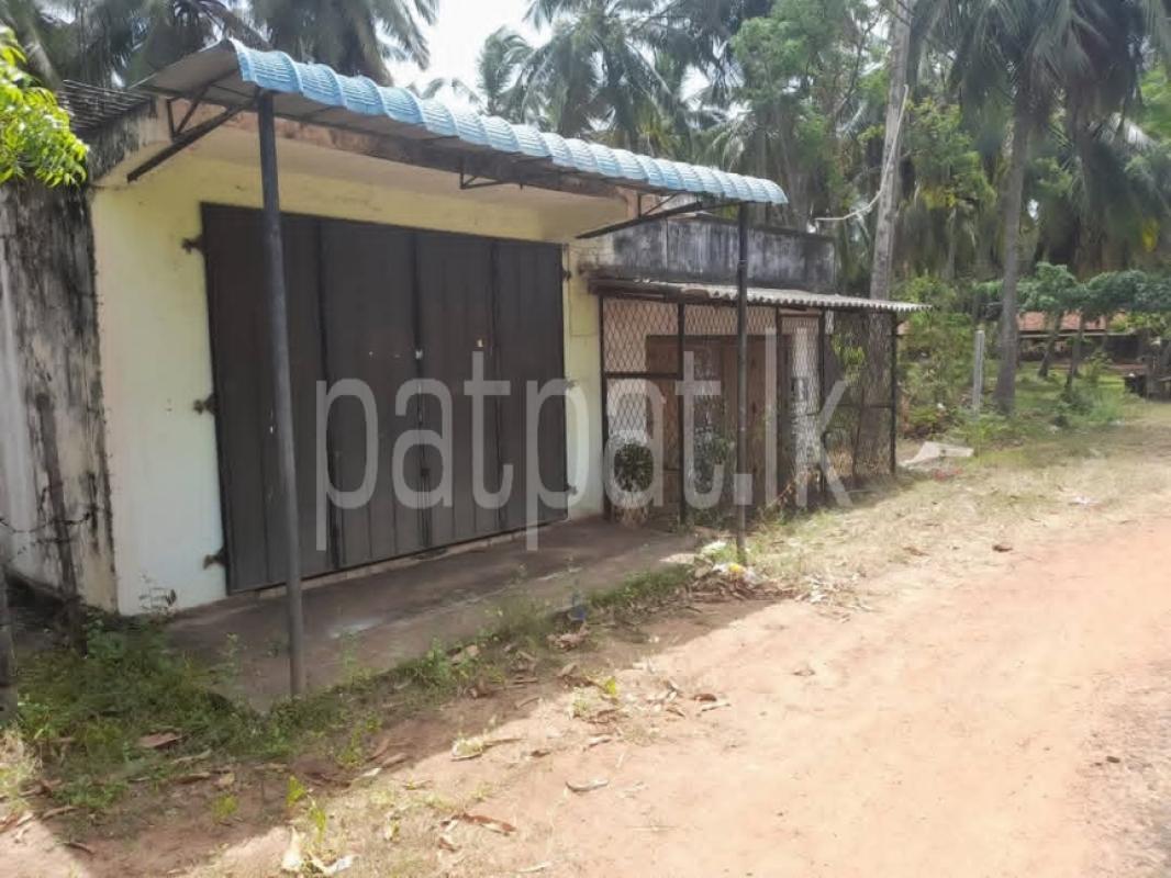 Advertisement image 1