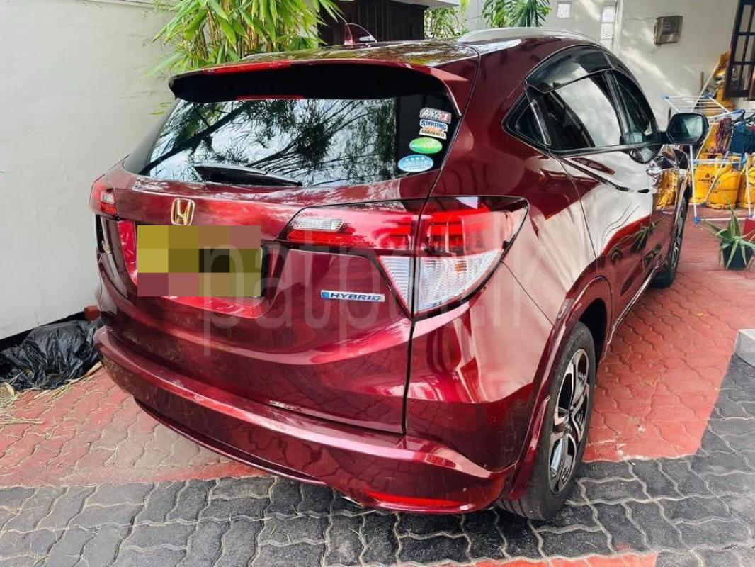 Advertisement image 3