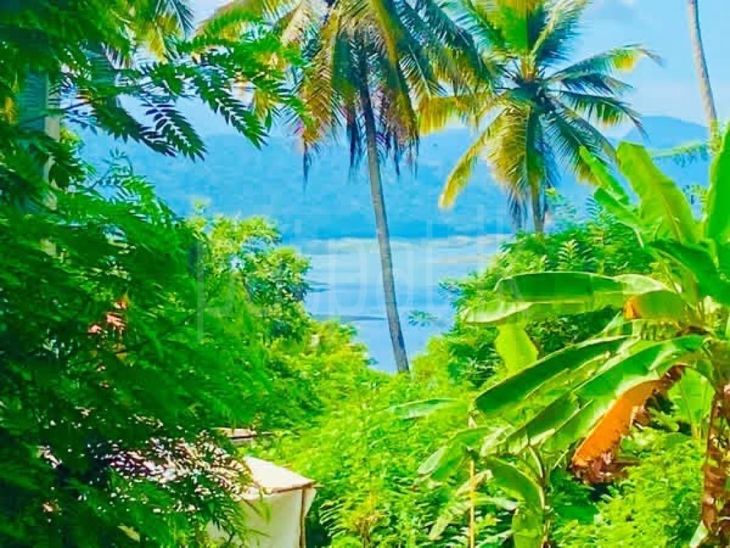 Commercial Land for Sale in Digana