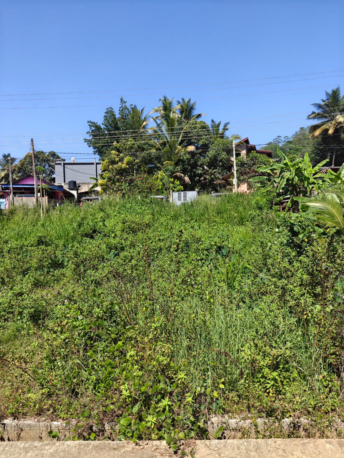 Residential Land for Sale in Mawanella