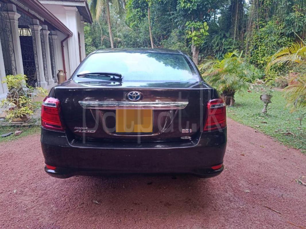 Advertisement image 2