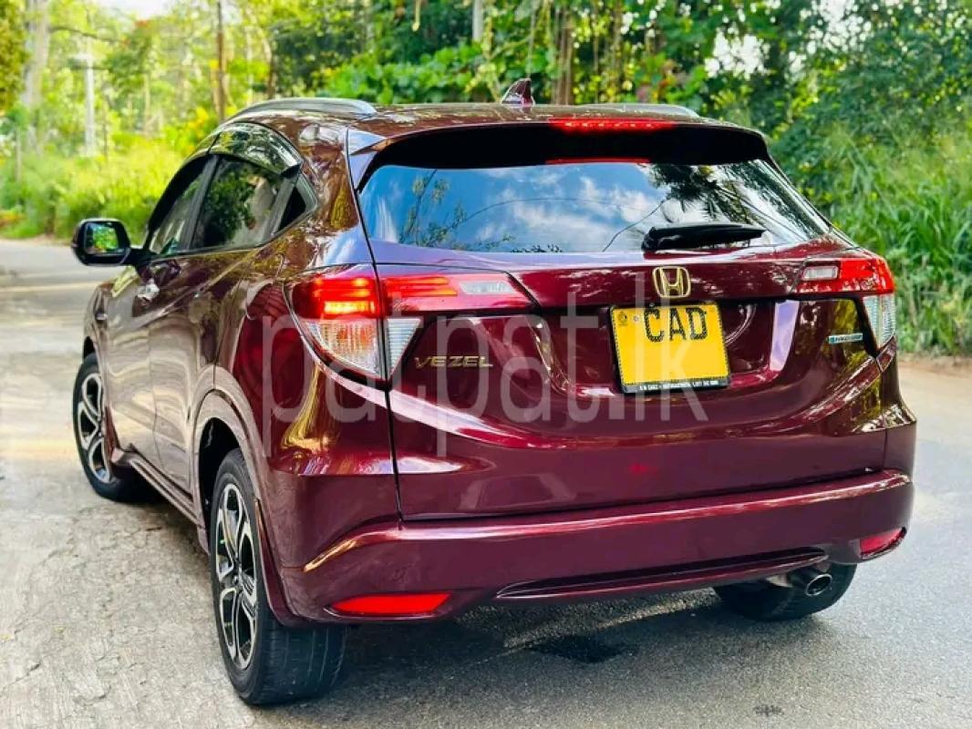 Advertisement image 3