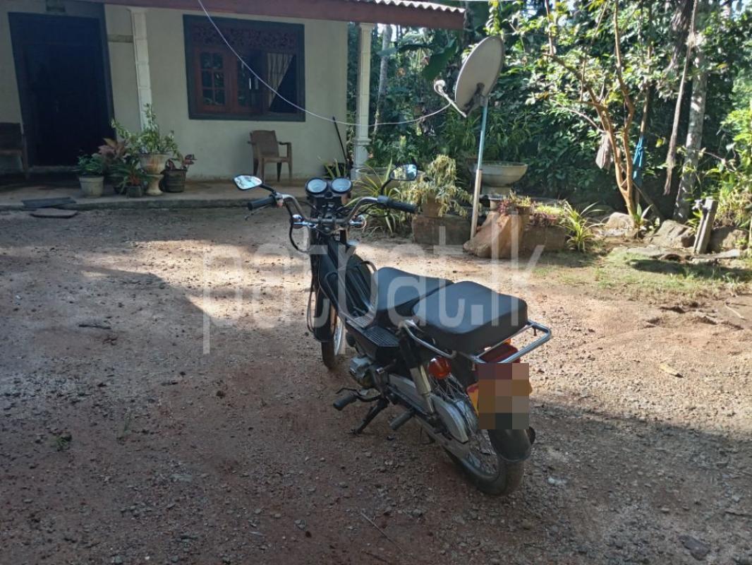 Advertisement image 1