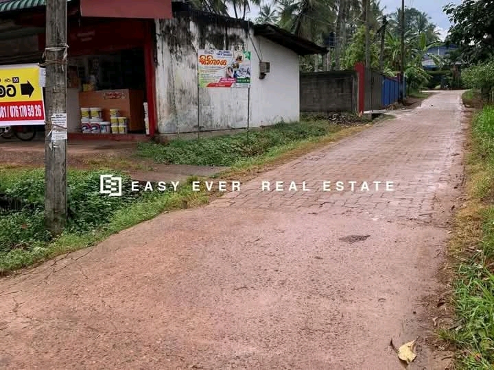 Commercial Land for Sale in Giriulla