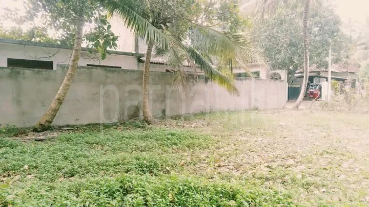 Commercial Land for Sale in Katupota ads-image-1