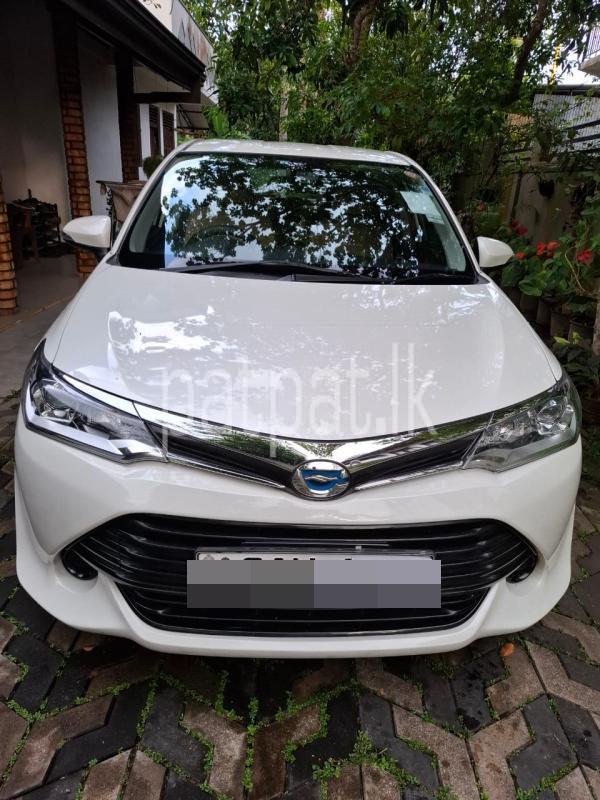 Advertisement image 1