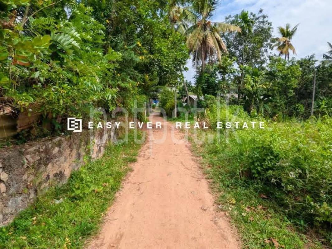 Residential Land for Sale in Kalagedihena