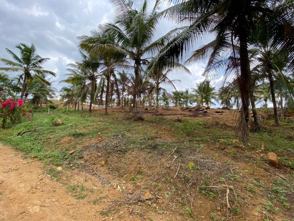 Commercial Land for Sale in Padukka