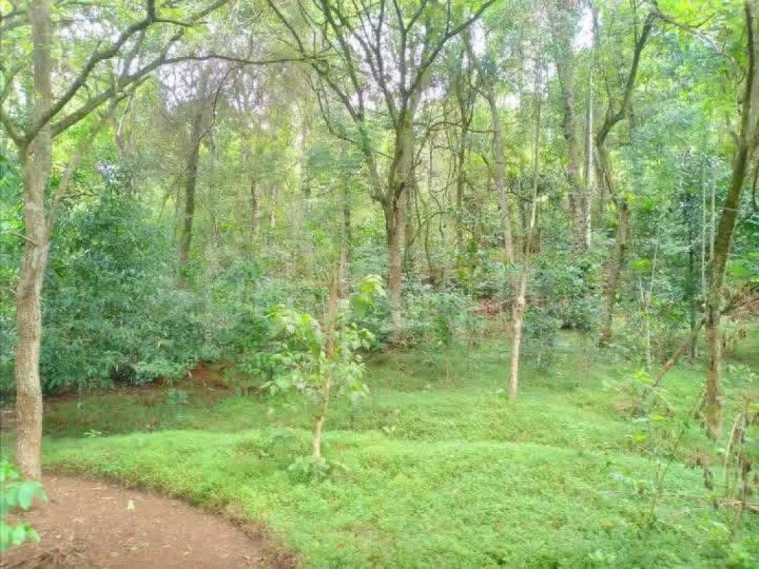 Agricultural Land for Sale in Ambewela