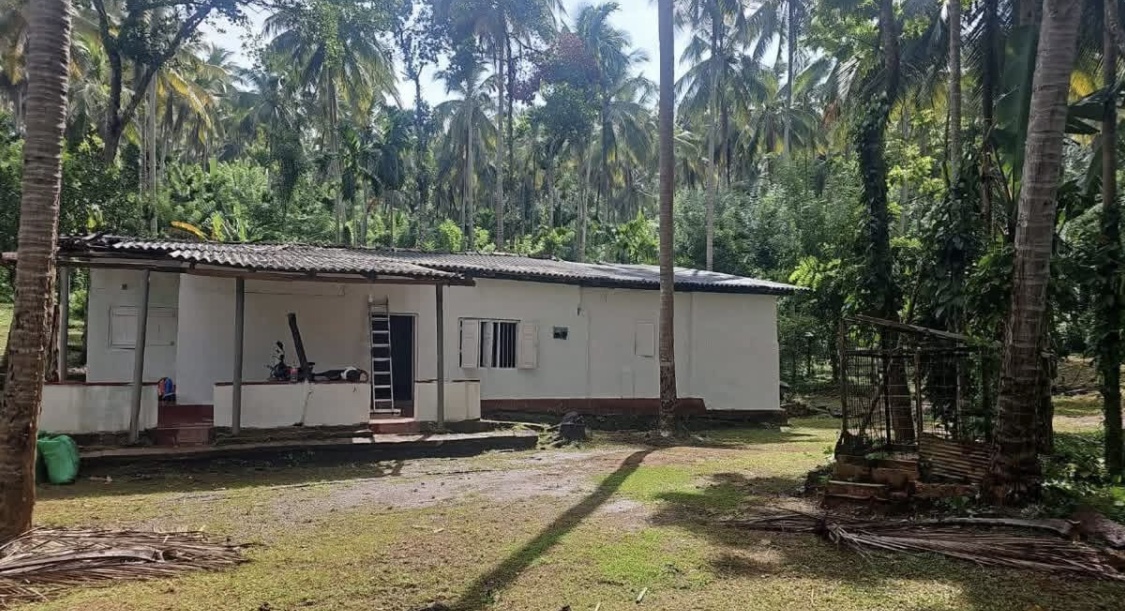 Commercial Land for Sale in Kundasale