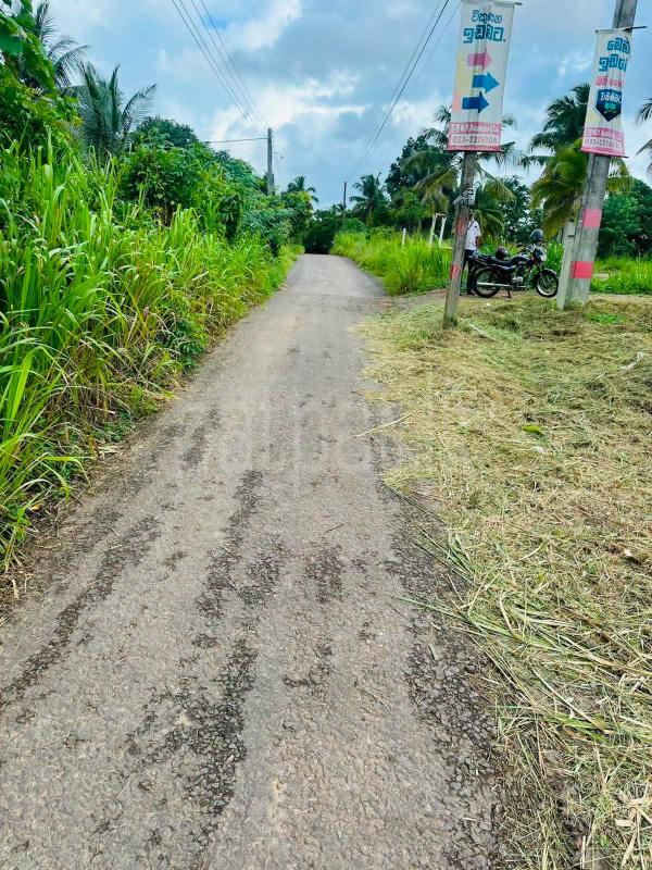 Residential Land for Sale in Divulapitiya