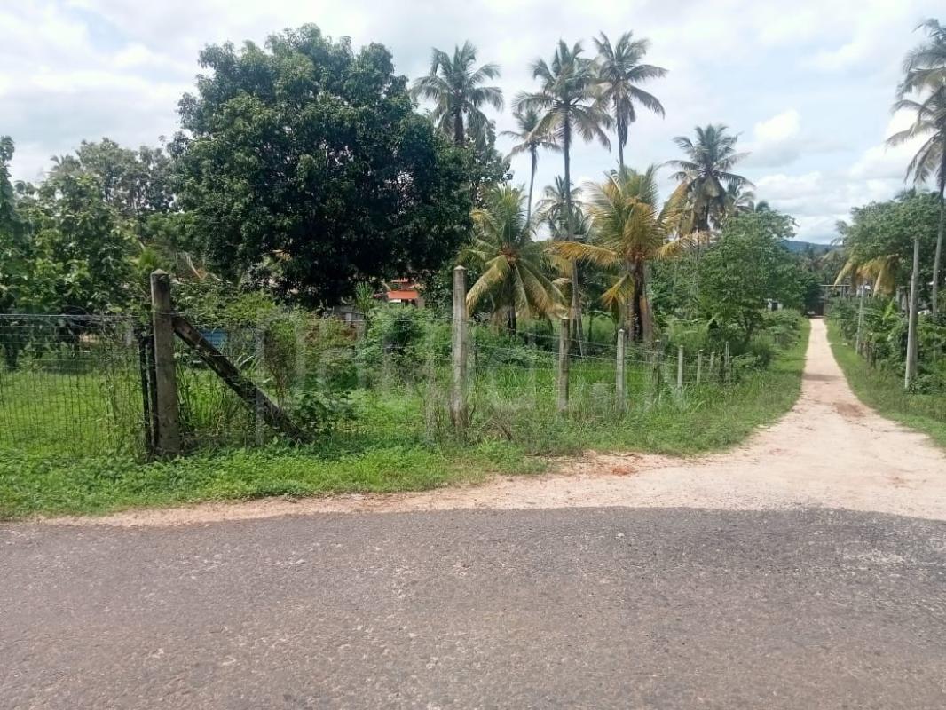 Residential Land for Sale in Kurunegala ads-image-1