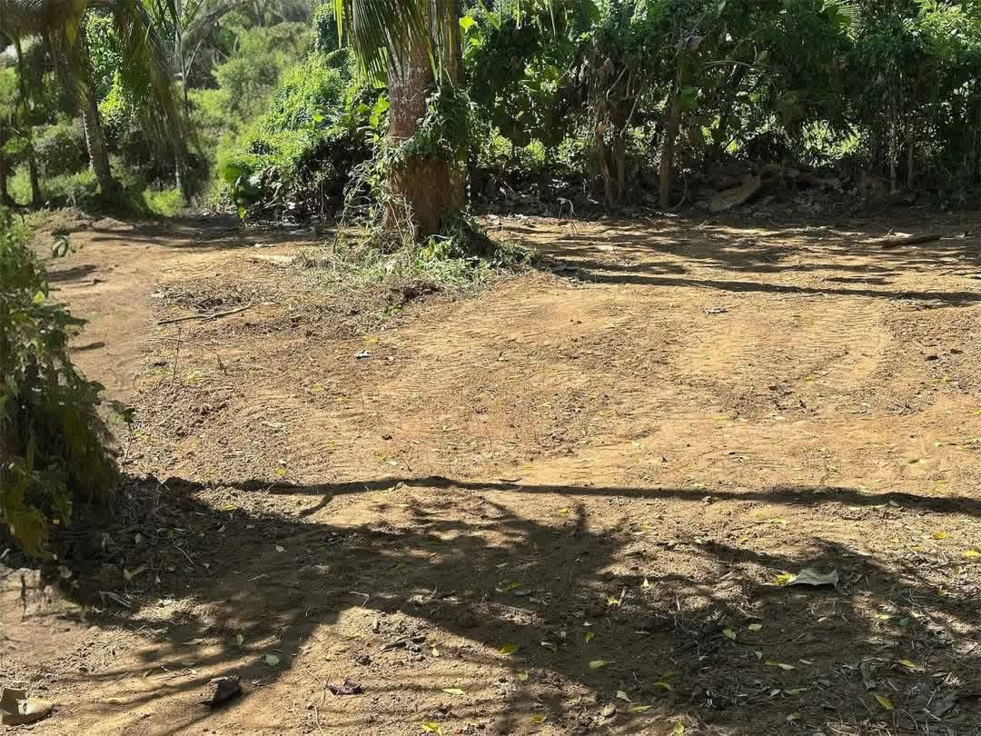 Residential Land for Sale in Beliatta