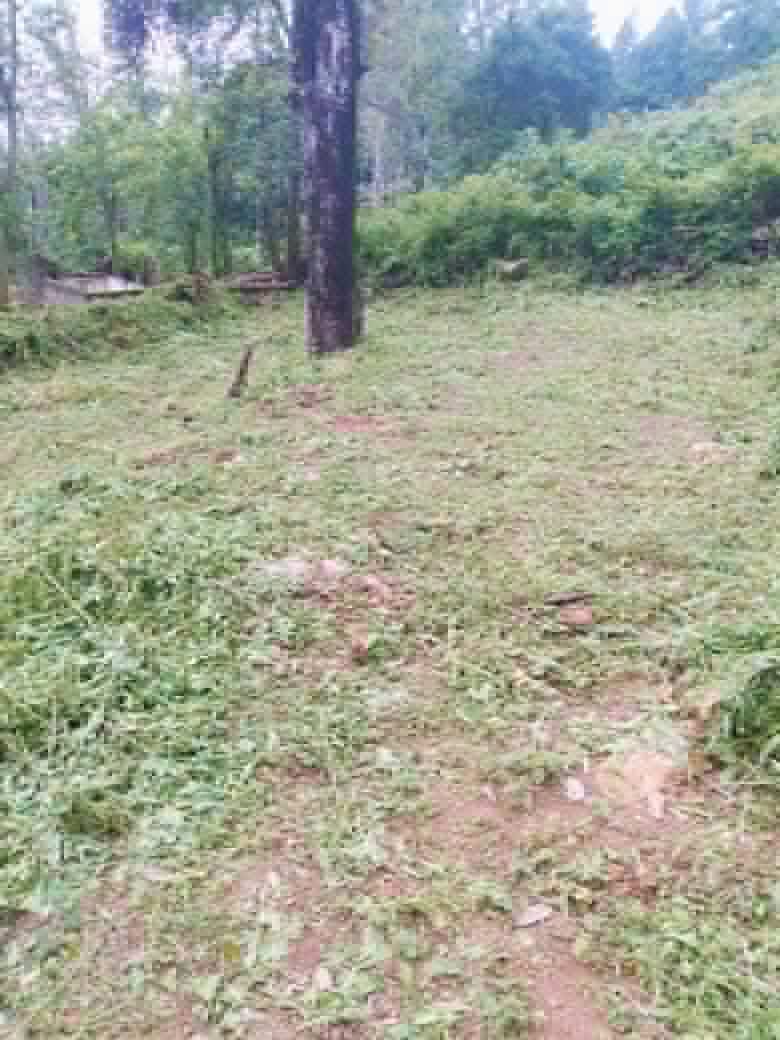 Residential Land for Sale in Haldummulla