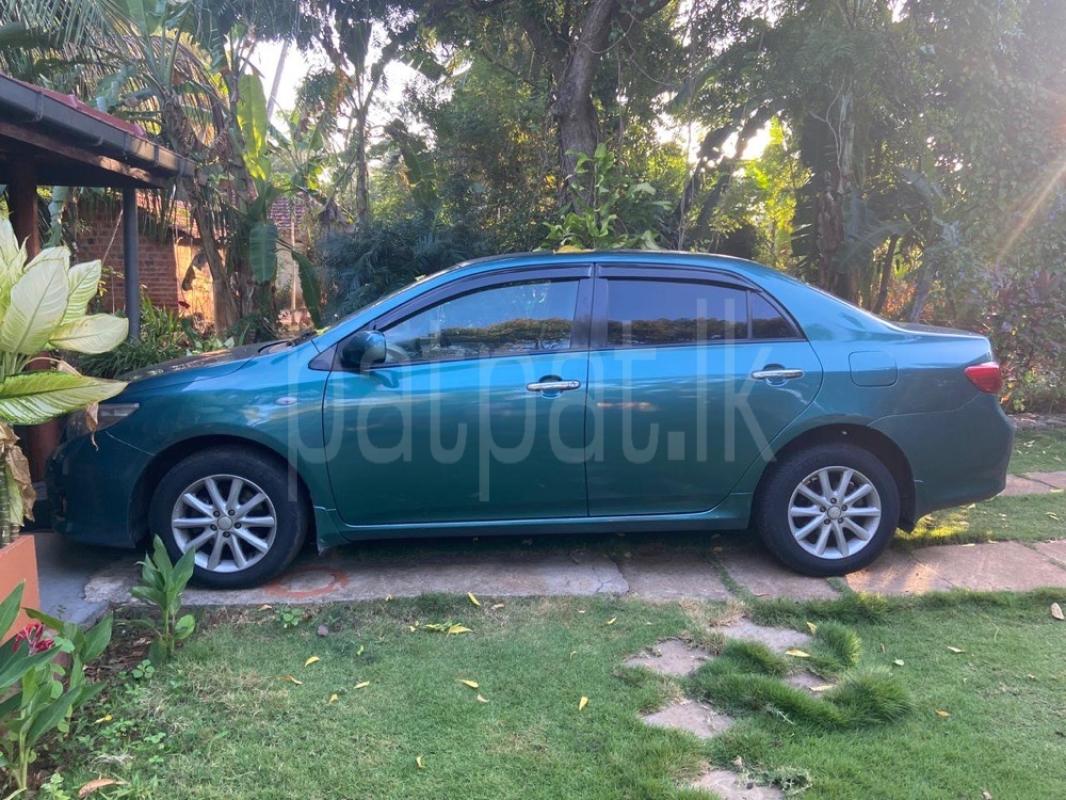 Advertisement image 2