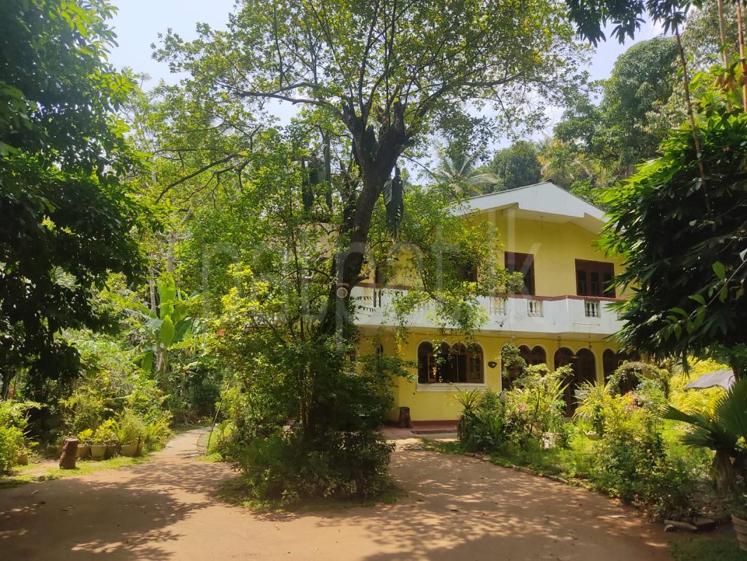 House for Rent in Peradeniya ads-image-1