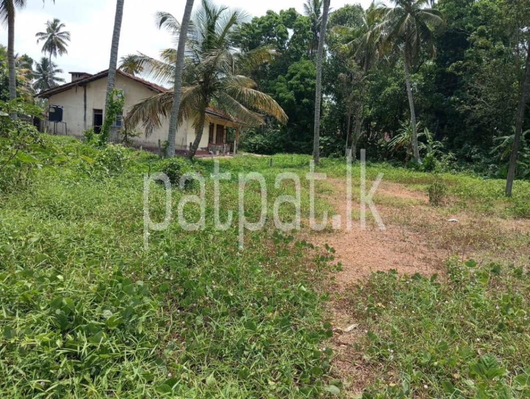 Advertisement image 6