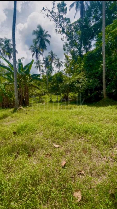 Residential Land for Sale in Piliyandala