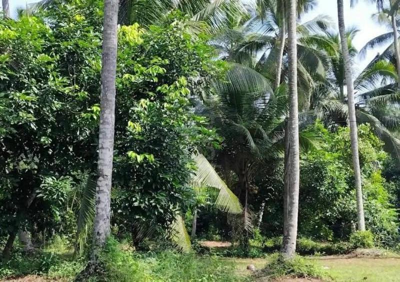 Agricultural Land for Sale in Badalgama