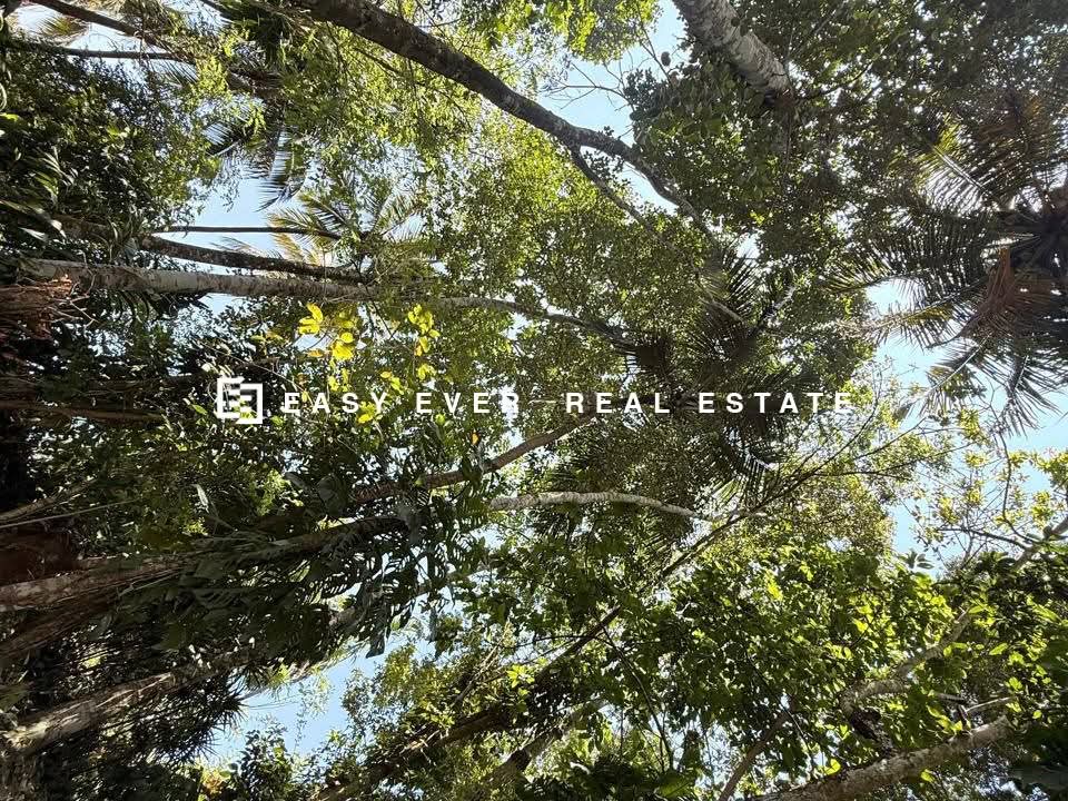 Residential Land for Sale in Nittambuwa
