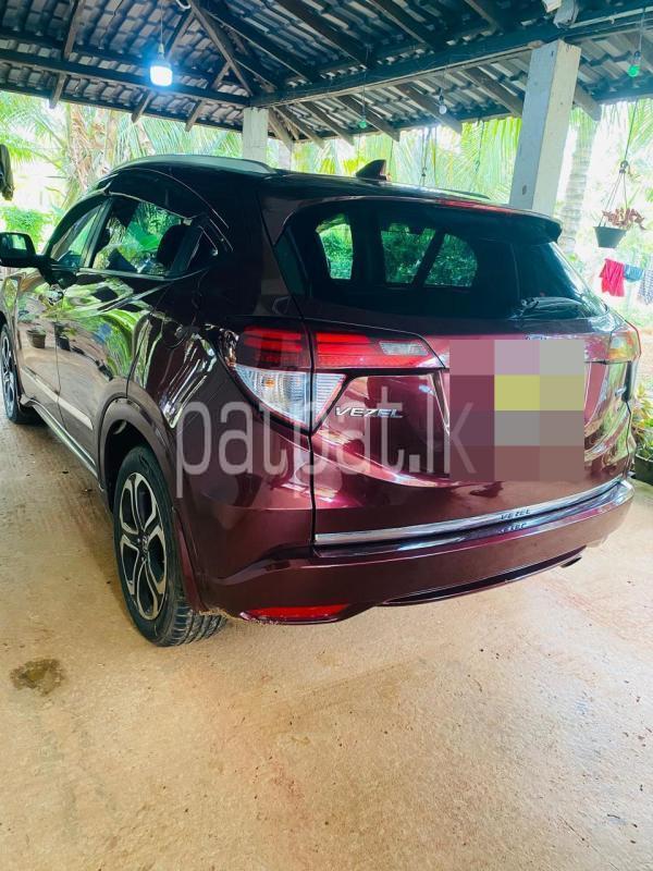 Advertisement image 4