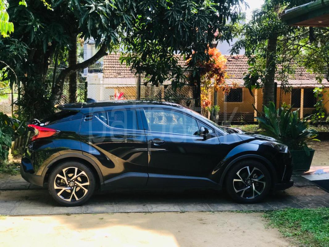 Advertisement image 6