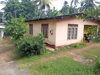House for Sale in Colombo Fort (Colombo 01)