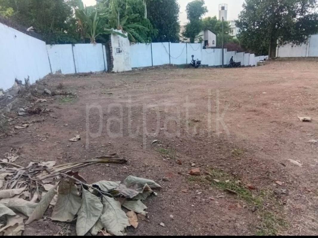 premium-listing-image