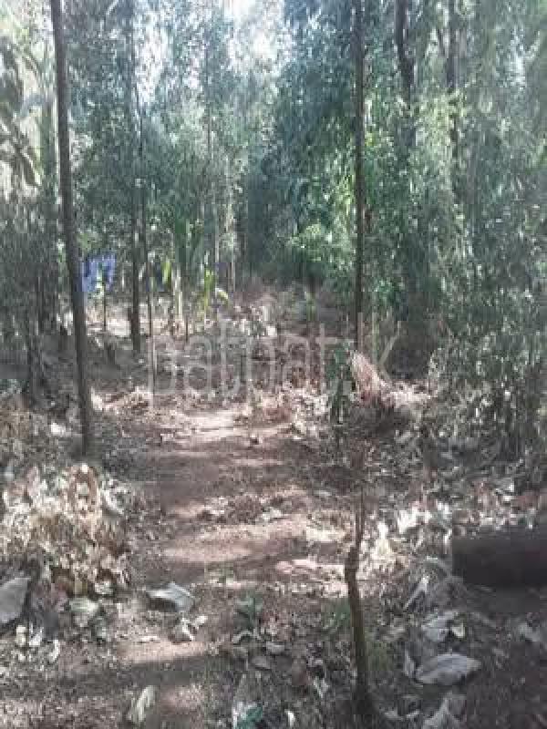 Residential Land for Sale in Dambulla