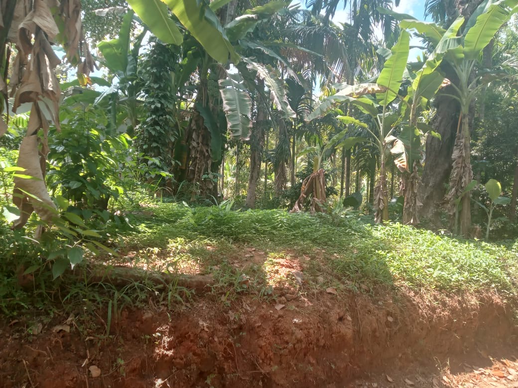 Residential Land for Sale in Medawala Harispattuwa