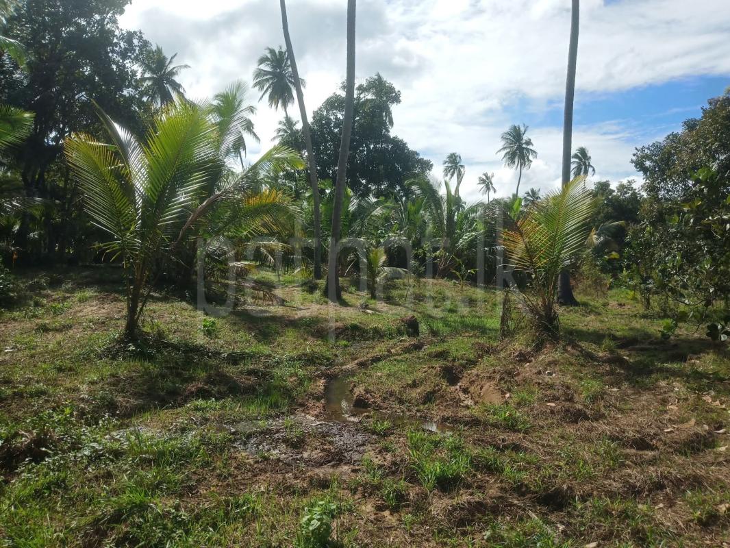 Agricultural Land for Sale in Kurunegala